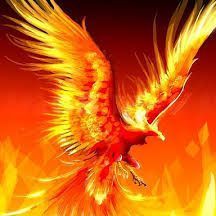 FireFalcon